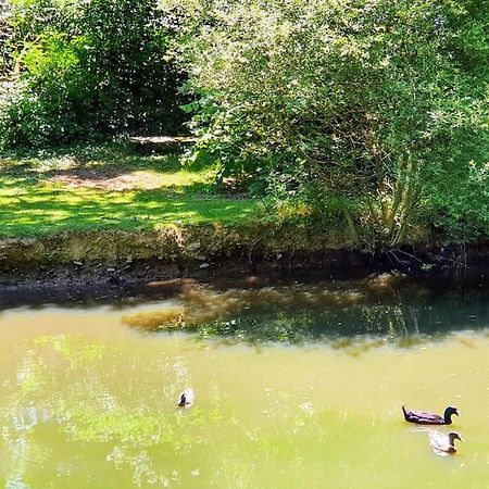 Tout Le Confort Au Milieu D'Un Parc Botanique Noyal-Muzillac ภายนอก รูปภาพ