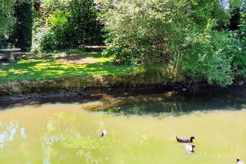 Tout Le Confort Au Milieu D'Un Parc Botanique Noyal-Muzillac ภายนอก รูปภาพ