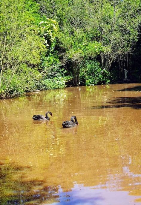 Tout Le Confort Au Milieu D'Un Parc Botanique Noyal-Muzillac ภายนอก รูปภาพ